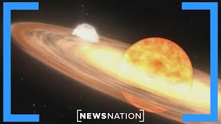 ‘New’ star event to create once-in a-lifetime sight in the sky | NewsNation Live
