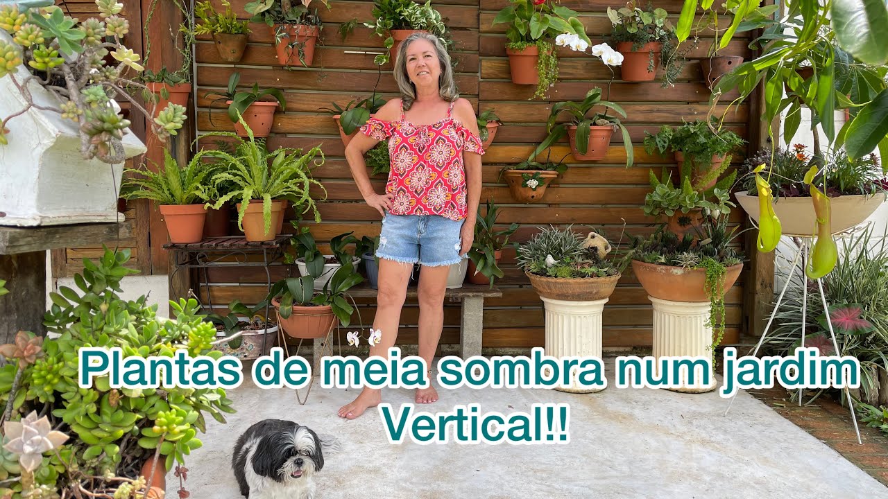 Transformei meu jardim vertical, ficou uma beleza!!