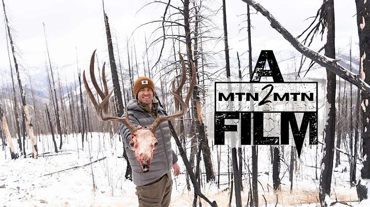 Rifle Mule Deer | MTN2MTN Media | 4K Film