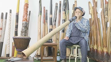 Jesse lethbridge Didgeridoo Key of C Web code 8146