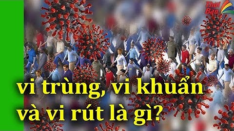 Chủng vi khuẩn khác chi vi khuẩn như thế nào năm 2024