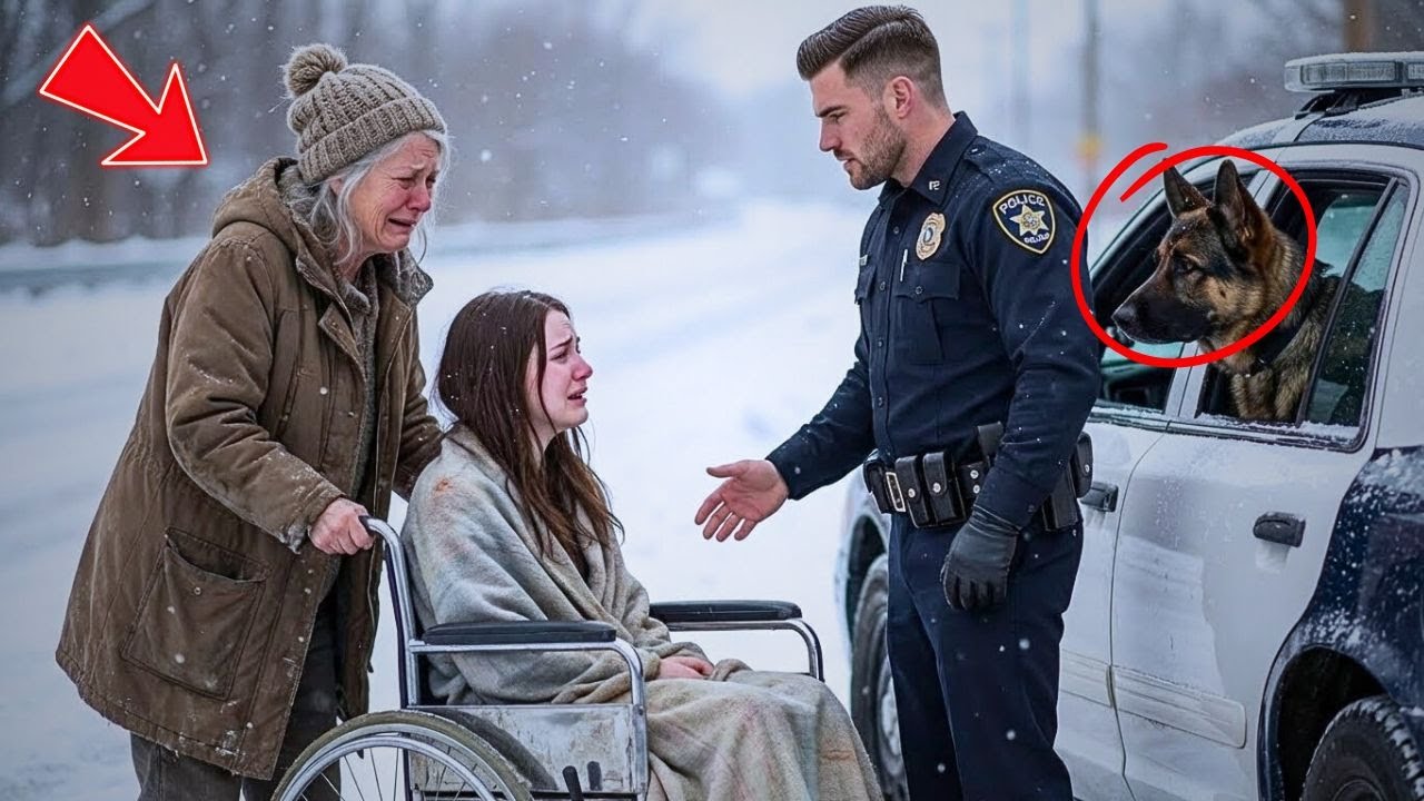 Officer and His K9 Saw a Woman Pushing Her Disabled Daughter in Snow — He Froze at Her Family Name
