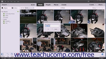 Photoshop Elements 15 Tutorial Renaming Images Adobe Training