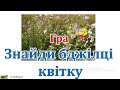 Гра Знайди бджілці квітку