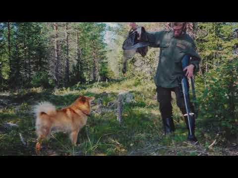 Video: Höyhenpeite Broilereiden, Kalkkunoiden, Ankkojen Ja Hanhien Poimimiseen: Kynityskoneen Ominaisuudet. Laitteen Edut Ja Haitat