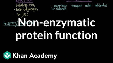 Non-enzymatic protein function | Chemical processes | MCAT | Khan Academy