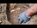 What we have Golden Buddha and Diamonds. Metal Detector Treasure Hunt Gold #treasure#golddetector