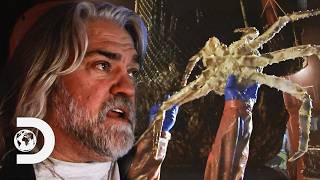 Greenhorn Faces Captain’s Ultimatum At The Bering Sea | Deadliest Catch Details