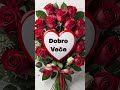 dobro veče Svima 🤗