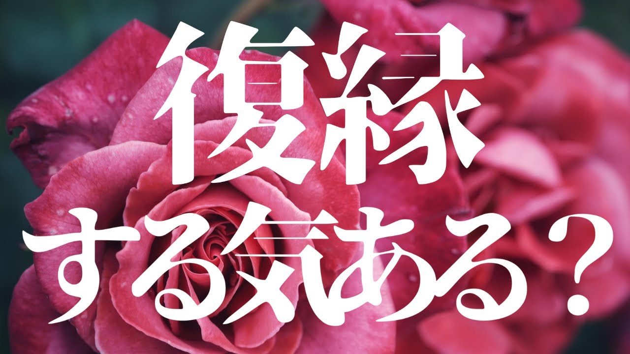 復活間近🌸距離が出来てしまったお二人🪬お相手様の気持ち深掘り！
