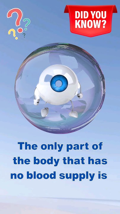 What Part Of Body Has No Blood Only part of the body which has no blood supply #corneafact #humanbody