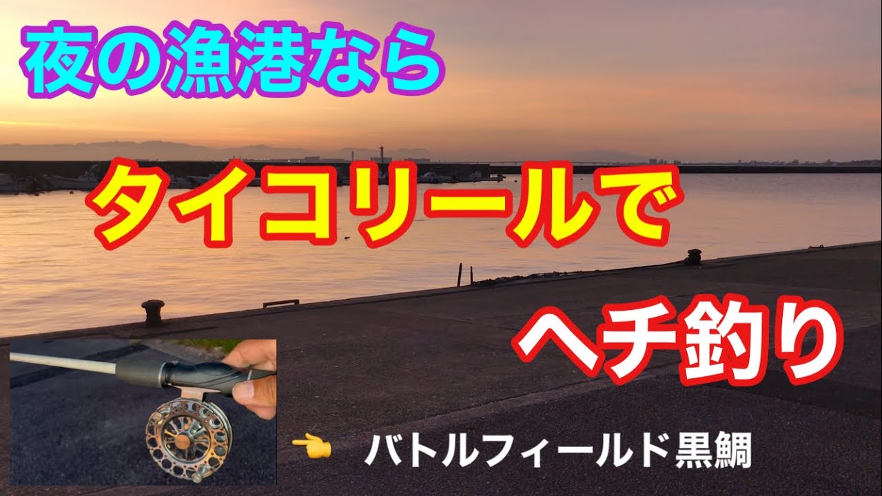 夜の漁港ならタイコリールでヘチ釣り 知多半島 バトルフィールド黒鯛 - YouTube
