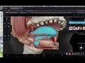 BIOL 314 Lab Exercise 38 Oral Cavity