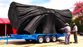 Watch This Carpenter Transformed a Forgotten Giant Black Stump into Something Truly Masterpiece