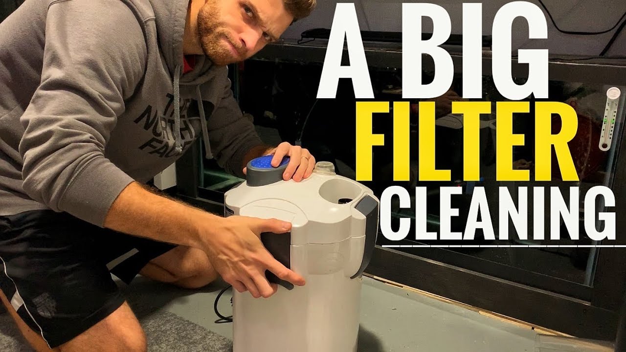 SUNSUN 304B Canister Filter Cleaning & Aquarium Maintenance 125 GALLON CICHLID SHOWTANK YouTube