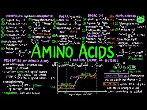 Video Amino Acids | Macromolecules 01 | Biochemistry | PP... - youtube