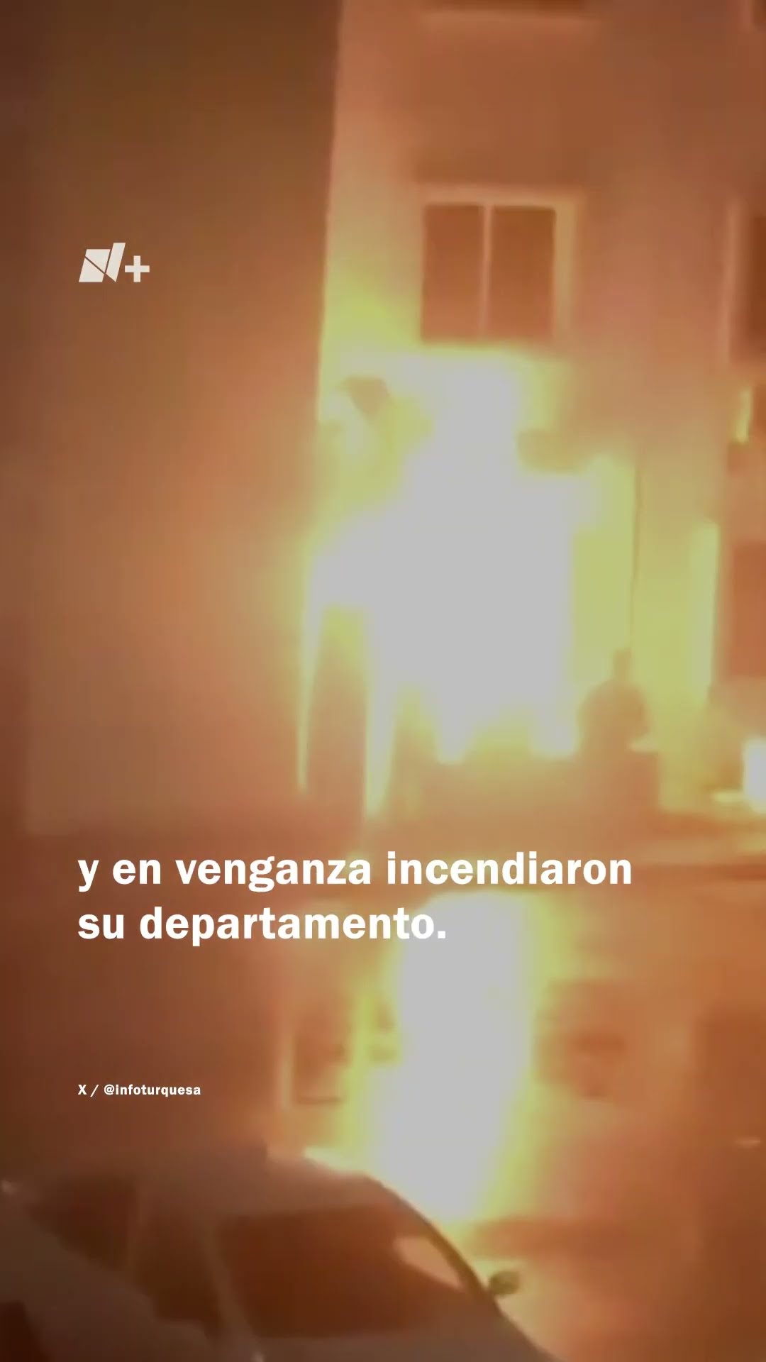 Perro bravo causa pelea que termina con incendio de casa en Cancún - N+ #Shorts