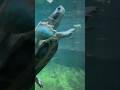 Zoo Praha 🐢