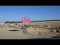السنابل لاند فيديو من الواقع 11