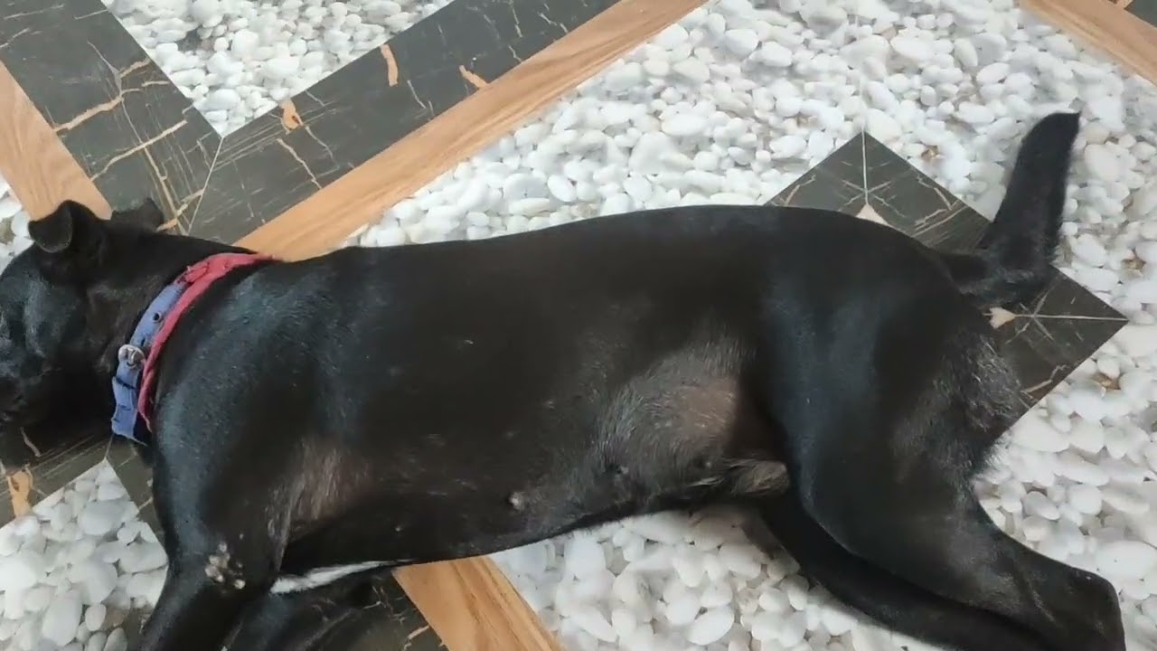 New full vlogs in 🏠new homes 