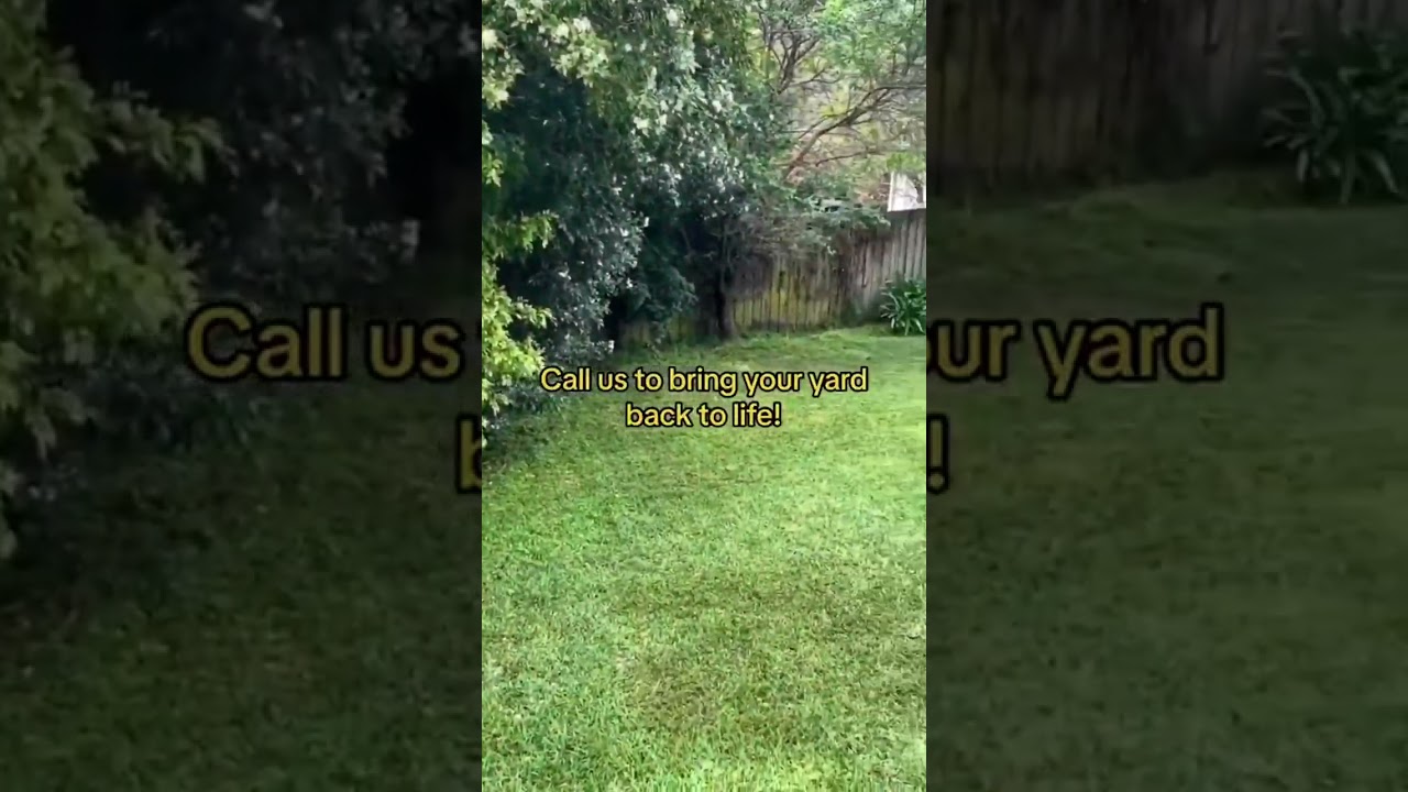Got an overgrown lawn? Jim's Mowing is here to help! We'll transform your yard with our professional