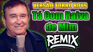 Amado Batista - Tá Com Raiva de Mim - VERSÃO FORRÓ BOYS WA PLAY PRODUÇOES