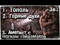 Истории на ночь (3в1): 1.Тополь, 2.Горные духи, 3.Аметист с м0гилы гайдамаков