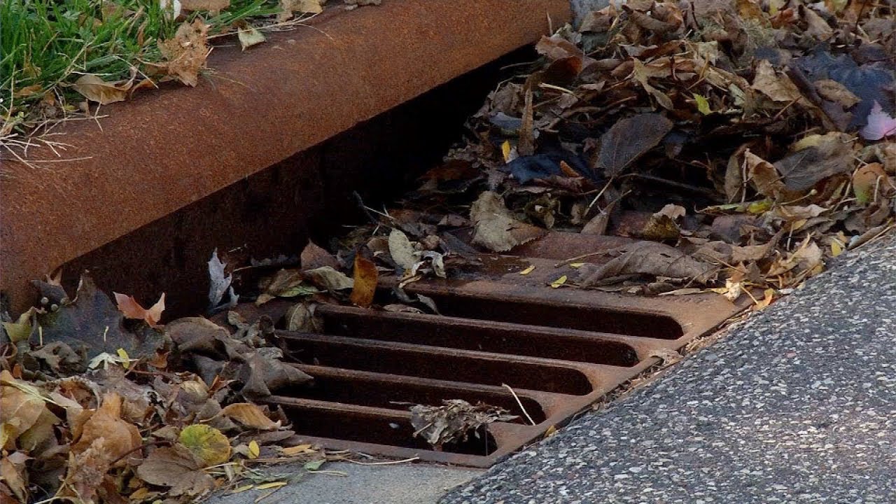 Adopt A Storm Drain In Osseo - YouTube