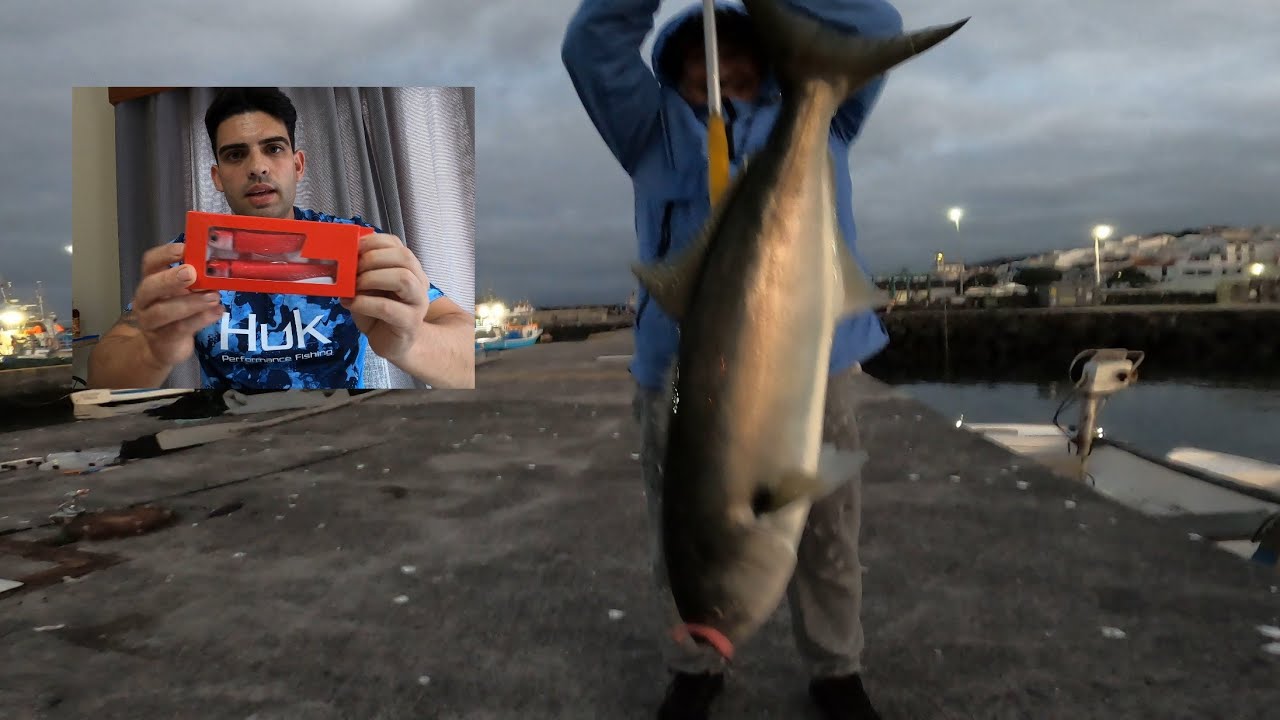 Pesca Anchova enorme nos Açores 2025 - Luta completa / Another Giant Bluefish Full Fight 4K UHD