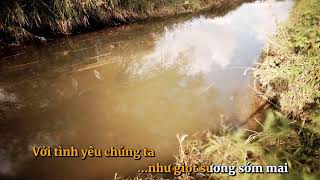 Trên tháng ngày đã qua - Trần Thái Hòa (karaoke)