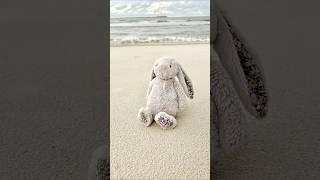 #shorts #viral #photography #photoshoot #competition #jellycat #vacation