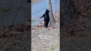 She Couldn’t Believe She Saw A Bear Doing This In Her Yard 😂