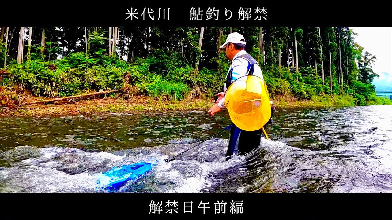 [鮎釣り]米代川解禁日　午前編　2020 ＃TEAM渡正 vol.1