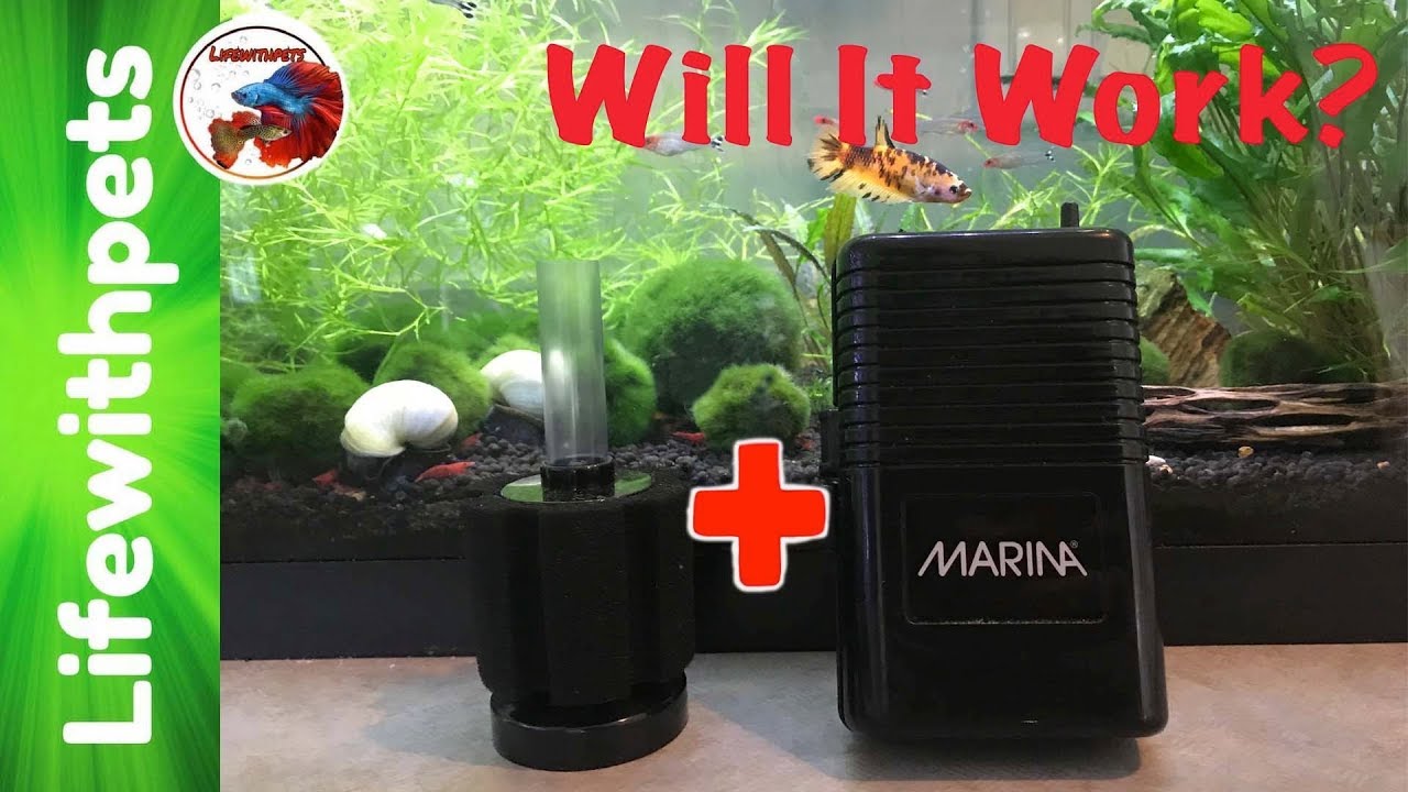 Testing A Battery Powered Air Pump with a Sponge Filter - YouTube