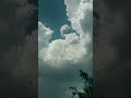 #nature 🌿🍃#trending #timelapse