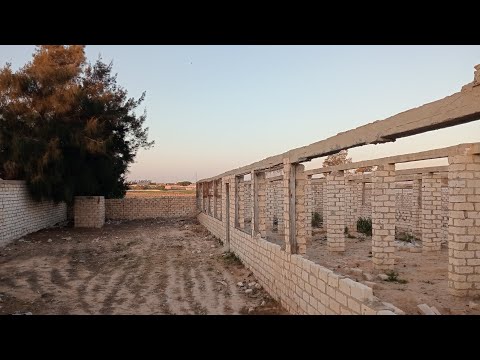 مزرعه دواجن مهملة للبيع مساحه 560متر للتواصل محمود للتسويق العقاري 01010150636