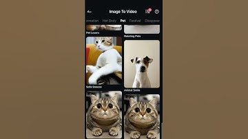 Your Cat Goes Viral in 10 Seconds Using AI 🐱🎥