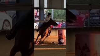 🤩🤩🤩 #justlikejade #horse #barrelracing #ottb #mare #hardwork #dedication