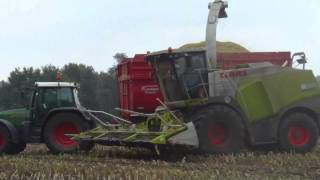 Mais häckseln mit Lohnunternehmen J  König 2013