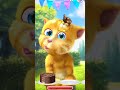 Talking ginger gameplay 🤣 funny cat video 📷 #talkingtomversion #cat #talkingtom