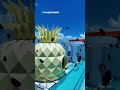 On the top floor of the Nickelodeon Resort - Riviera Maya, there's SpongeBob's pineapple.