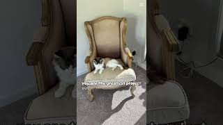 Soread the fuckery😂