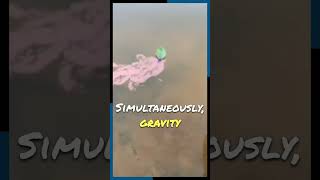 Pen Ink The Leaf Propeller Why It Happens