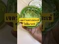 เจลว่านหางจระเข้ ใช้ดีมาก!!! #เจลว่านหางจรเข้ #เจลว่านหางจระเข้ #skincare #aloevera #ใช้ดีบอกต่อ