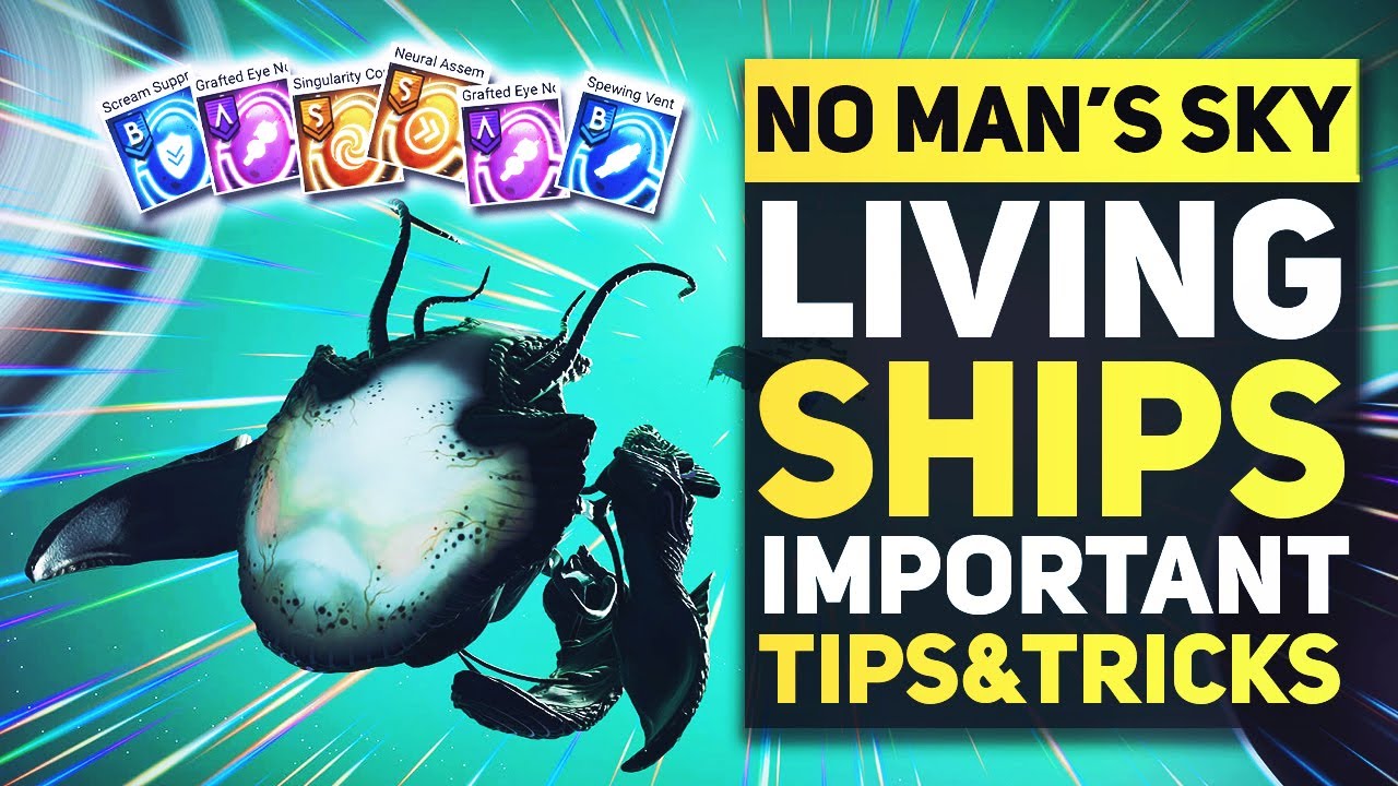 No Man's Sky LIVING SHIP UPDATE - Things You Need To Know About The New Alien Ships!