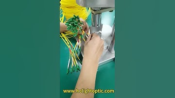 Crimping for LCA Patch Cords 💌 Email：beta@holightoptic.com #Crimping #PatchCords #fiberoptics #cable