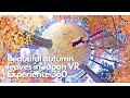 【VR 360 5.7K】Beautiful autumn leaves in Japan Experience 360 美女さんぽ 長野 美しい紅葉めぐり model girl Japanese