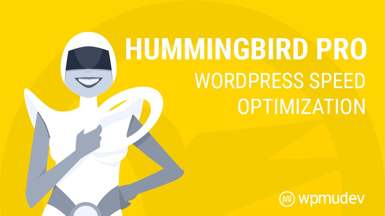 Hummingbird Pro - Wordpress Speed Optimization Plugin