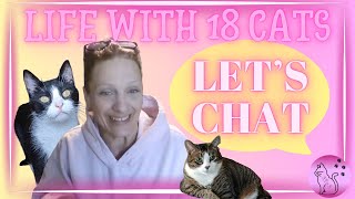 Let's Chat NOT Live | Video Premier | Life With 18 Cats