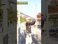 【Amiさん】建設あるある Part1 #けんせつ小町 #建設 #あるある #1日密着